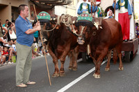 06128 MOROS I CRISTIANS OLIVA 2011
