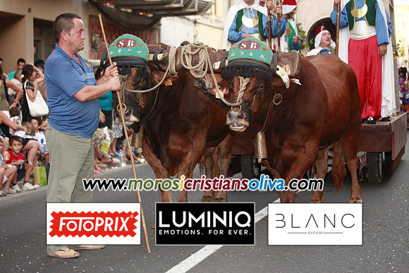 06128 MOROS I CRISTIANS OLIVA 2011